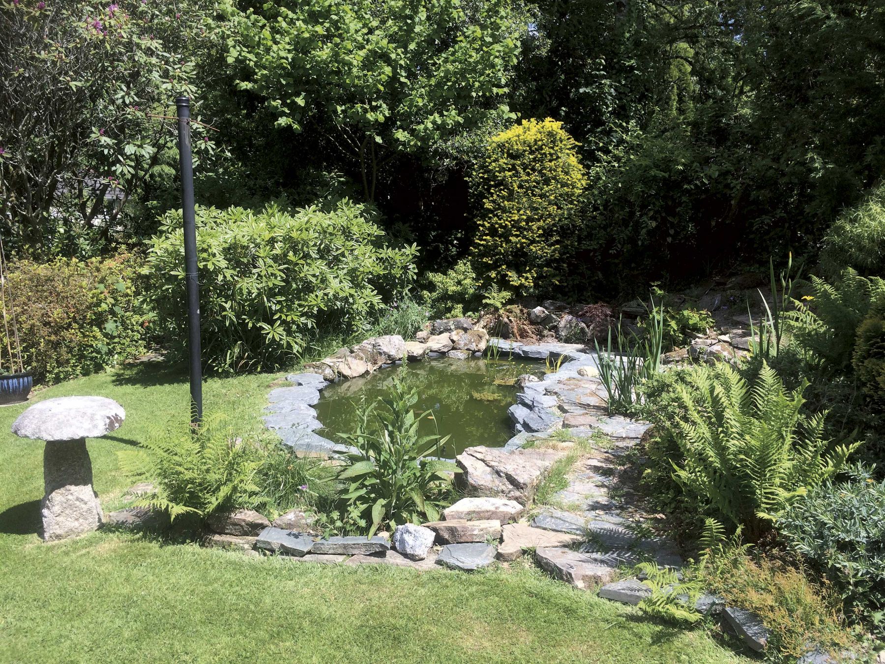 garden pond