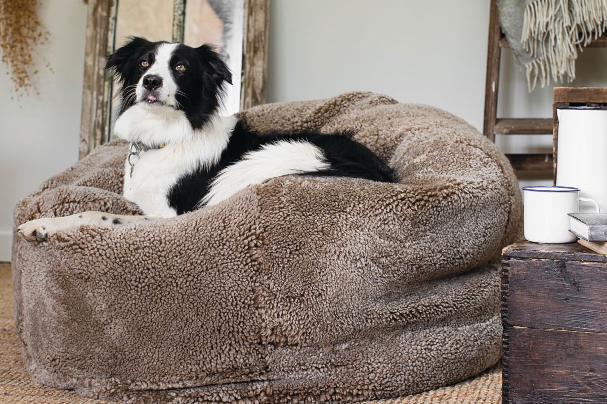 Giant Cropped Sheepskin Bean Bag