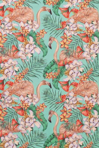 There's nothing like a flamingo to inject a touch of the tropics into your colour scheme