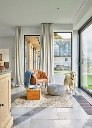 Dog Standing in the Living Room